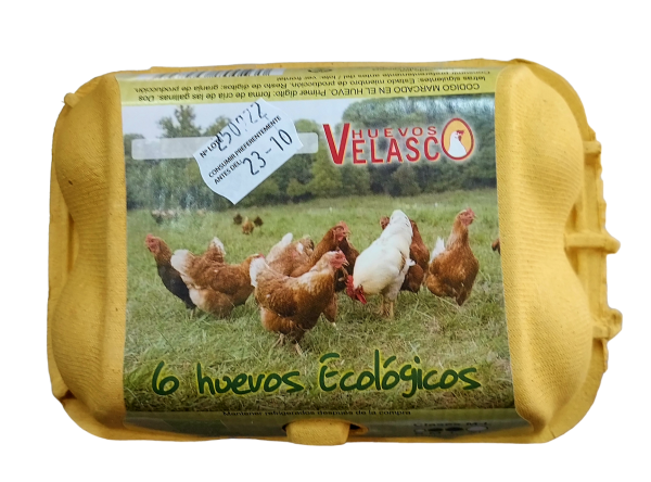 Huevos ecológicos